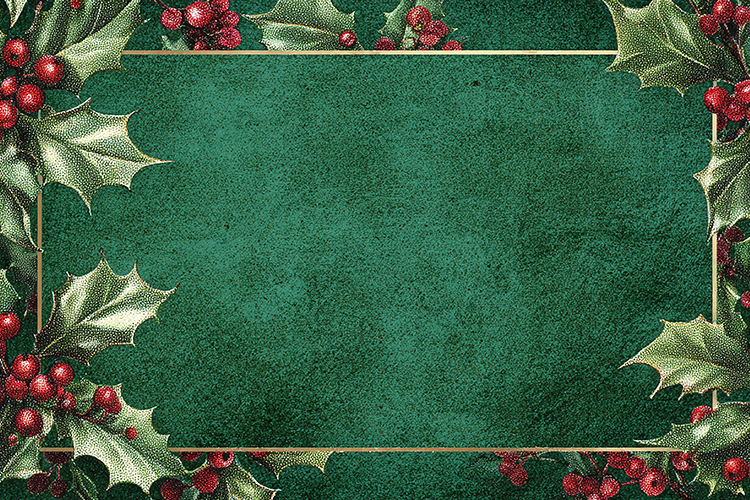 Christmas Texture Image 2