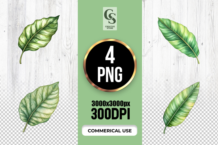 Monstera Leaf Clipart Image 4