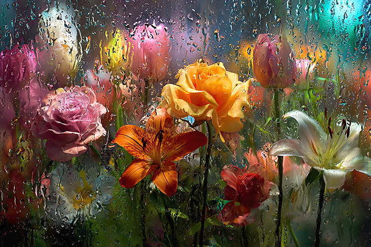 Raindrop Window with Vibrant Floral Garden Background