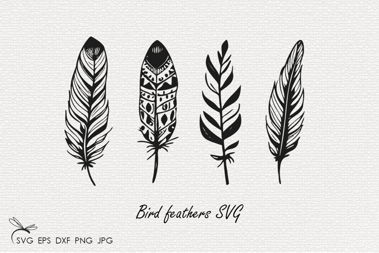 Bird feathers SVG Files