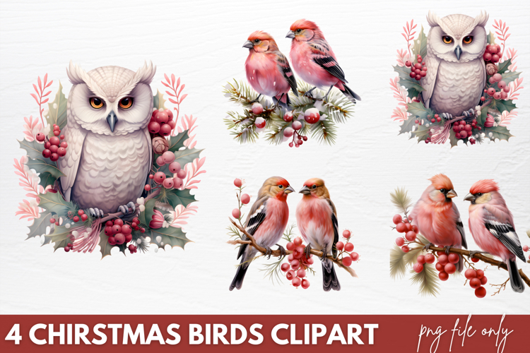 Birds Png Image 11