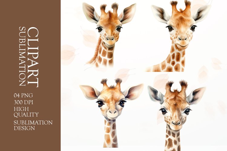 Giraffe Png Image 11