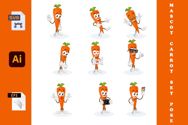 Carrot Illustration Image 19