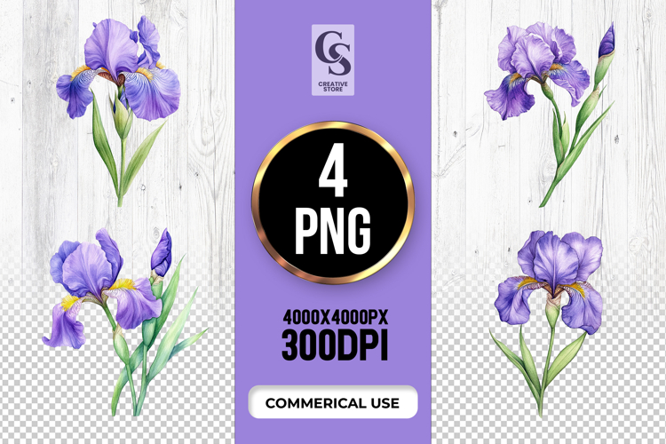 Violet Illustration Image 15