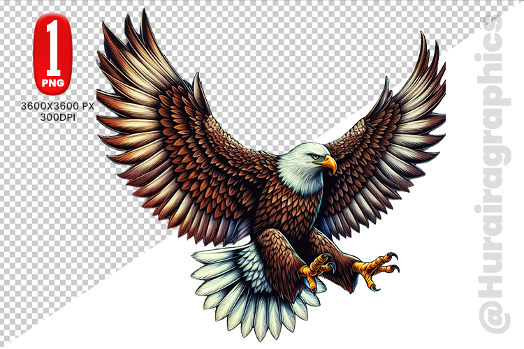 Eagle Clipart Image 14