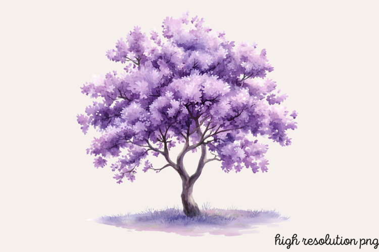 Baum Png Image 10
