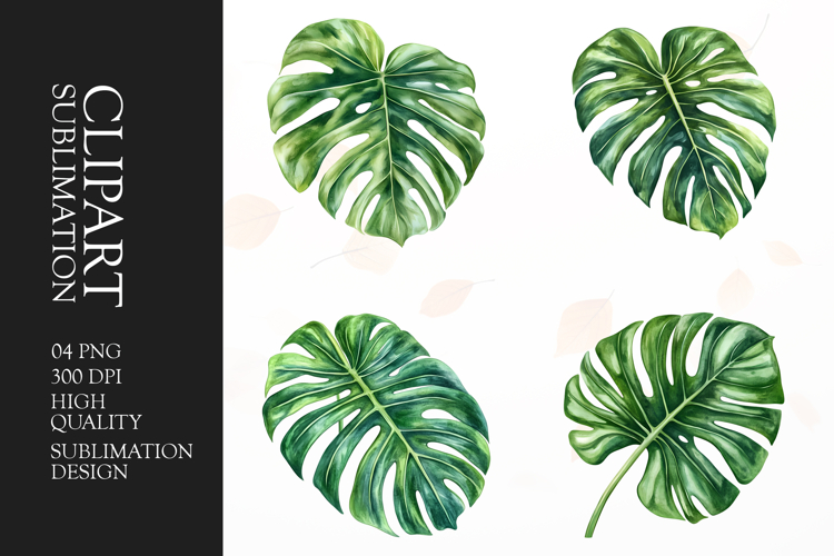 Jungle Clipart Image 18