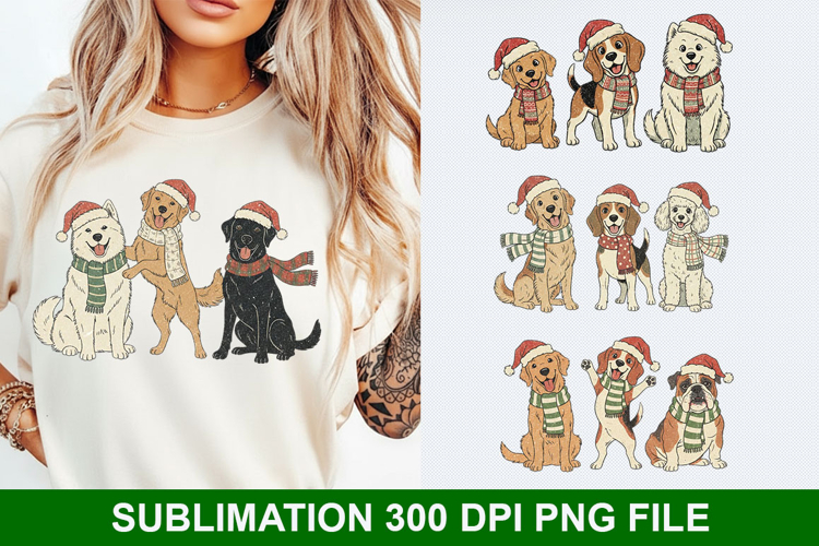 Christmas Png Image 7