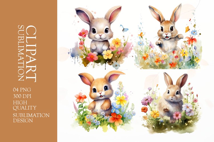 Rabbit Png Image 23