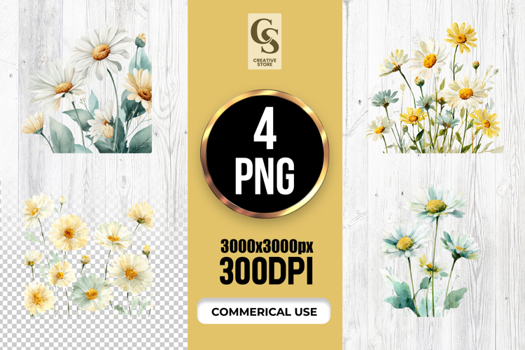 Daisies Png Image 24