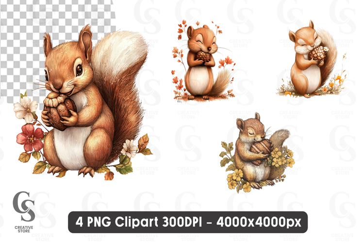 Cute Squirrel Clipart PNG