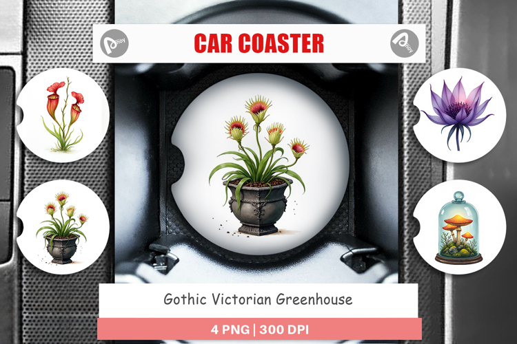Plant Png Image 4