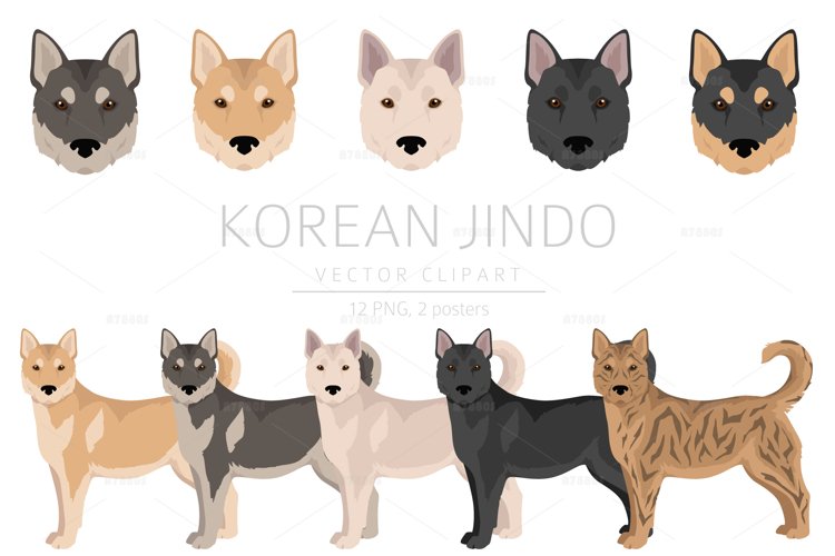 best way to train a puppy to potty outside