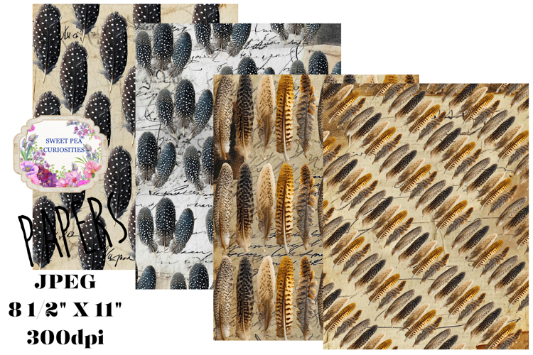 Feathers, Papers, Mixed Media, Junk Journal, Sepia, Black