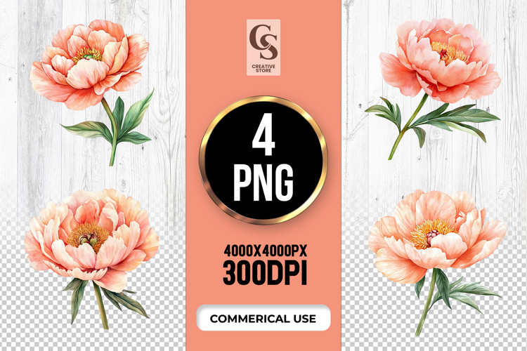 Peach Clipart Image 9