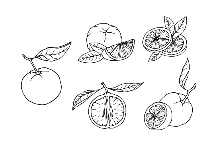 Orange Slice Clipart Image 2
