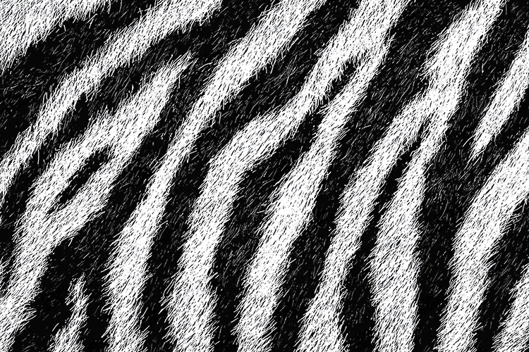 Black and White Animal Fur Stripe Texture Background JPG