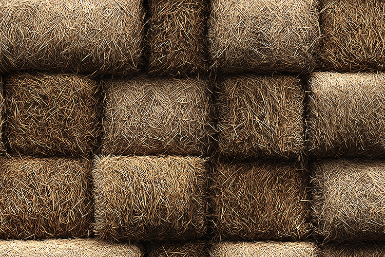 Rustic Hay Bale Texture Background for Farm Craft Designs