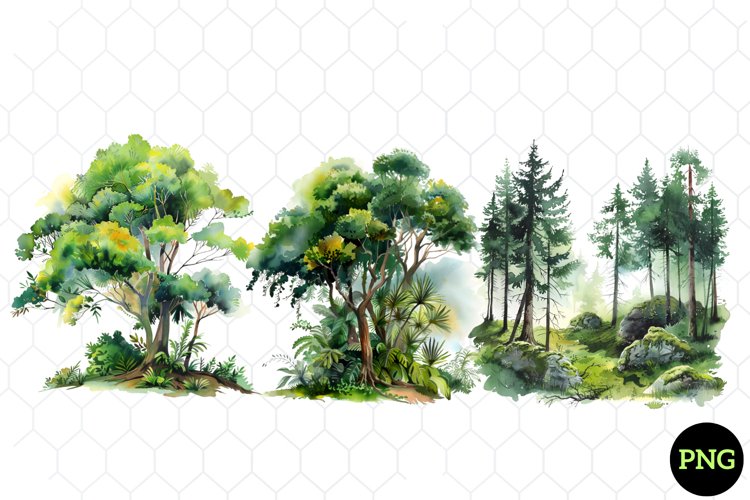 Baum Png Image 10