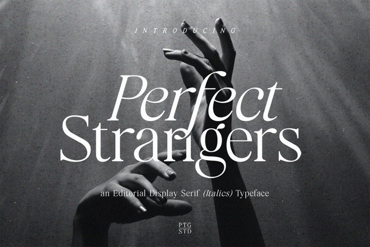 Perfect Strangers I Elegant Serif example image 1