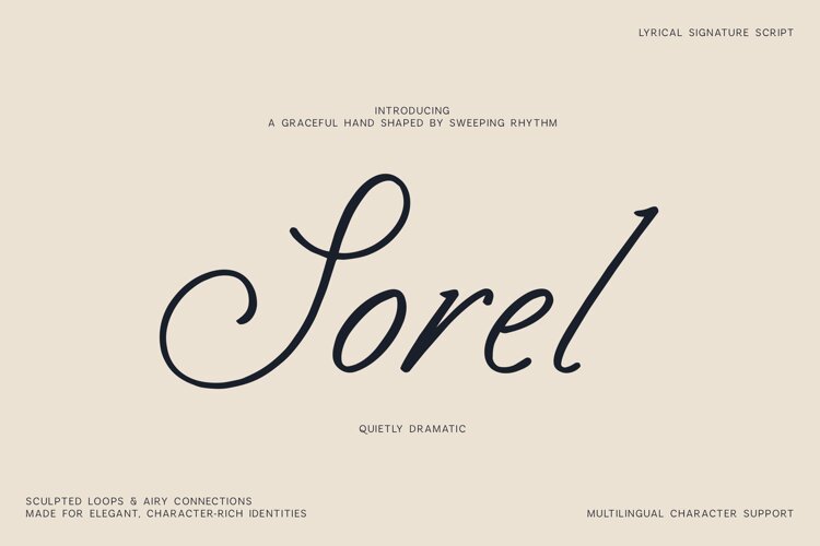 Sorel Lyrical Signature Script Font example image 1