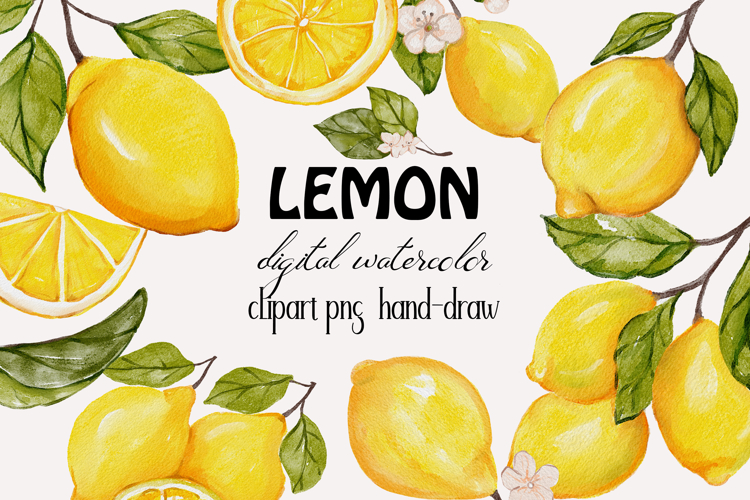 Watercolor lemon clipart png hand drawn