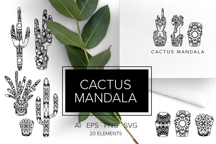 Cactus Png Image 18