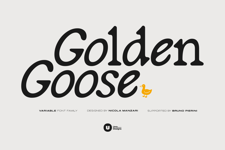 Golden Goose Italic Infused Serif