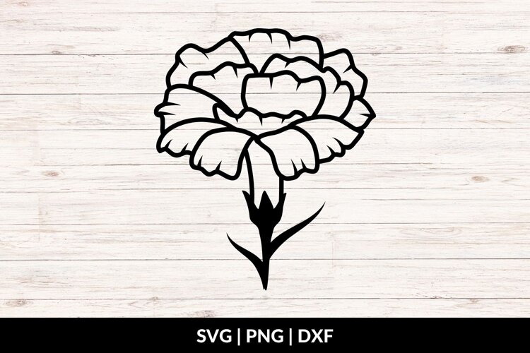 Carnation Flower SVG, PNG, DXF example image 1