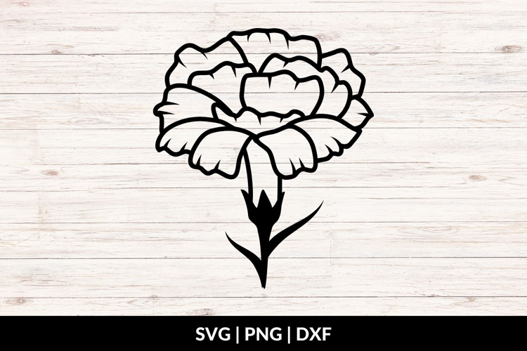 Carnation Flower SVG, PNG, DXF