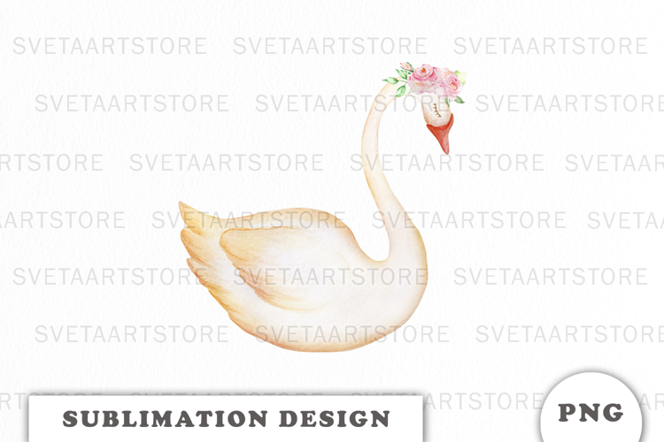 Watercolor White Swan png
