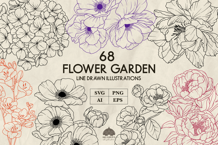 Flowers Drawing Image 9