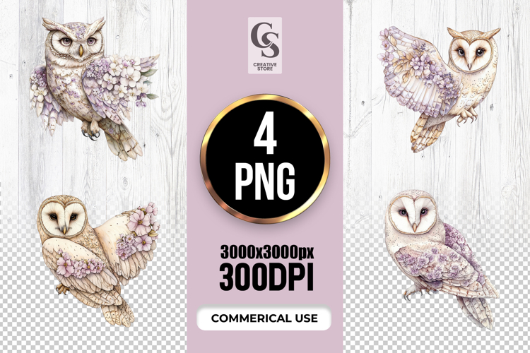 Owl Png Image 22