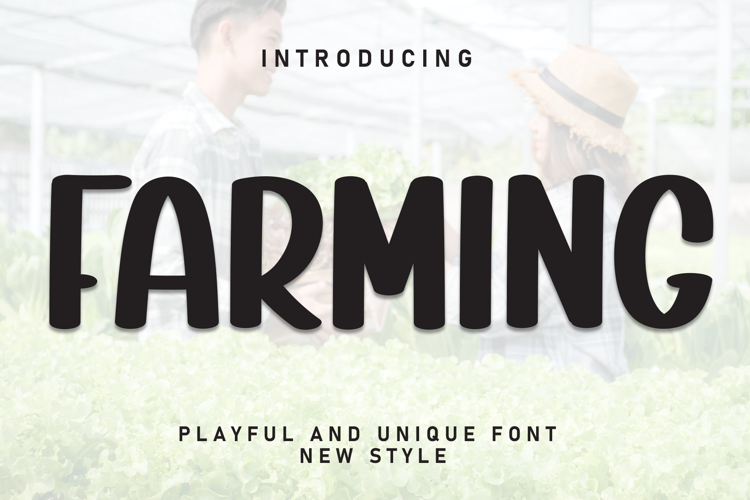 Display Font Image 13