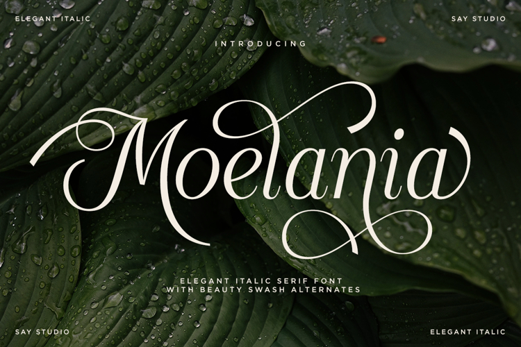 Moelania - Luxury Wedding Serif Font