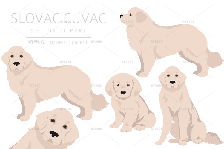Dog Clipart