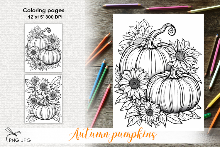 Autumn pupkins|Coloring page