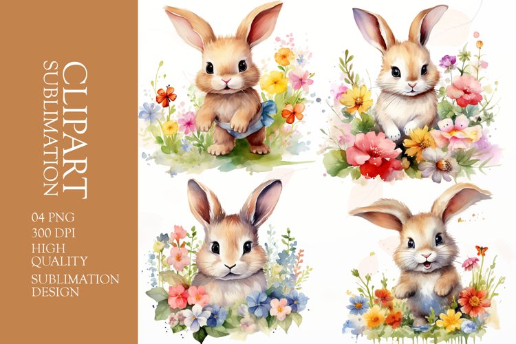 Rabbit Png Image 21