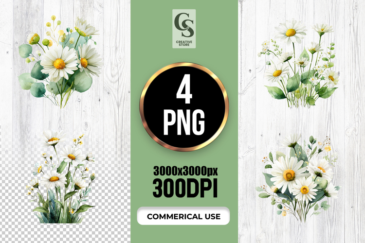 Daisy Illustration Image 9