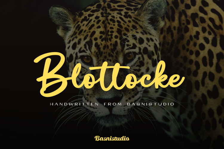 Blottocke a Handwritten Font