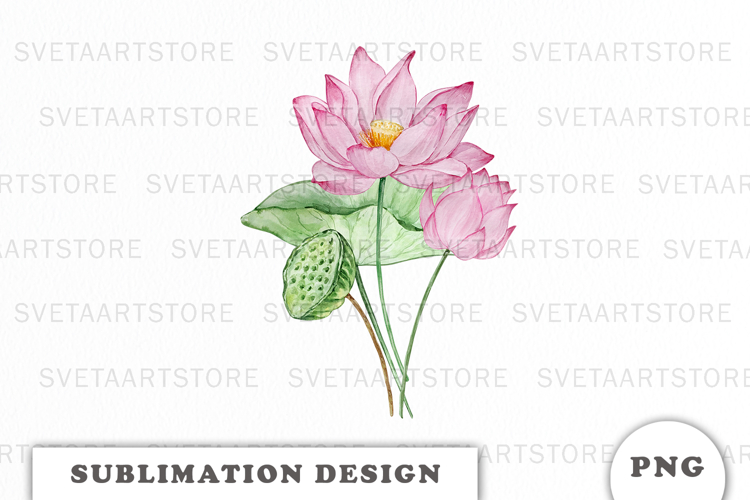 Watercolor Water Lilly Flowers Bouquet png