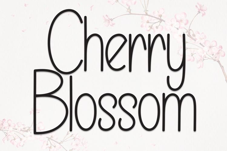 Cherry Blossom
