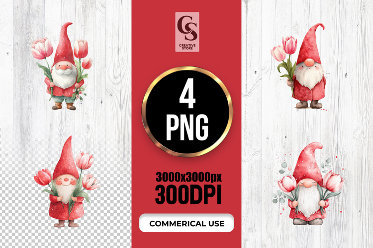 Gnome Illustration Image 7