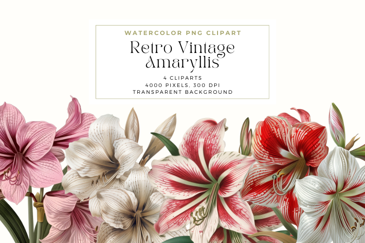 Retro Vintage Amaryllis Clipart