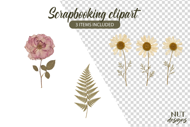 Dried Flowers Clipart Vintage Floral Scrapbooking example image 1