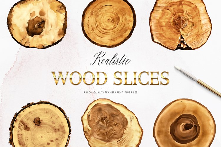 Wood Slices Clipart, Woodland Clipart example image 1