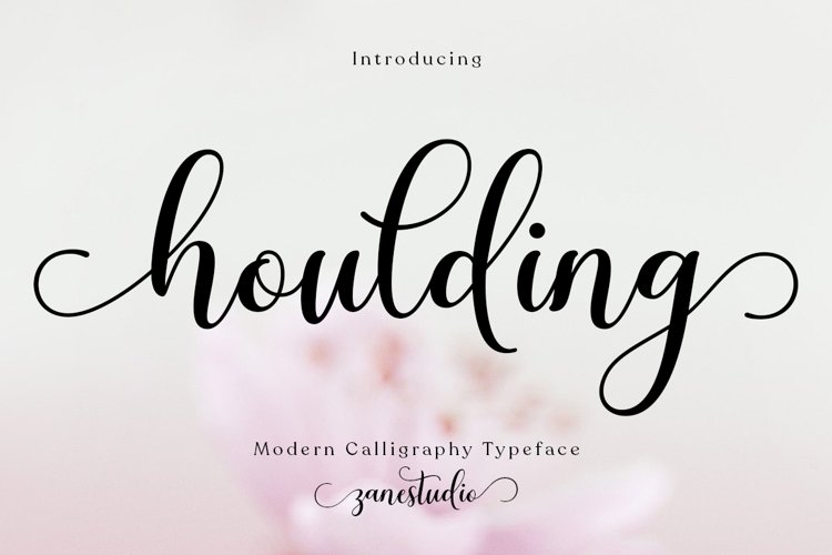 Font Collection Bundle