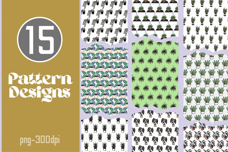 Succulent Png Image 18