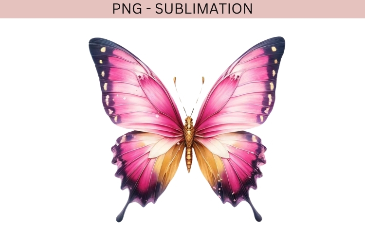 Watercolor Valentine butterfly png design for T-shirts