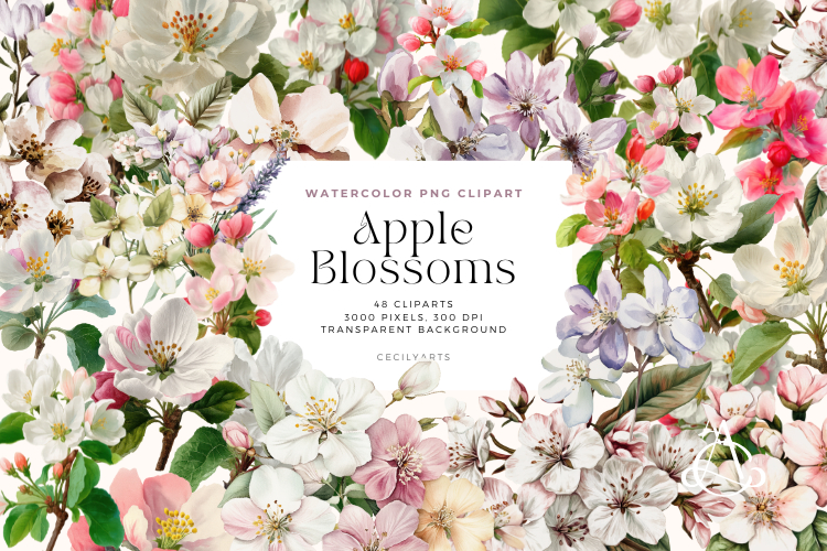 Watercolor Apple Blossoms Clipart Bundle